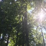 Profile Picture of katelyn_howell_pictures (@katelyn_howell_pictures) on Instagram