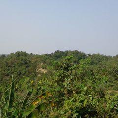 Profile Picture of Madhuri Roy (@MadhuriRoy11) on Twitter