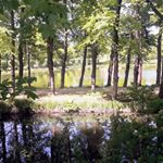 Profile Picture of Paul Jetten (@jettenpaul) on Instagram