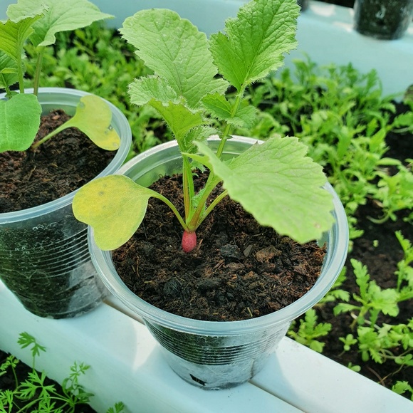 Profile Picture of Thanh Hien (@thanhhienshop) on Poshmark