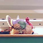 Profile Picture of Scott Haines (@scotthaines49) on Instagram