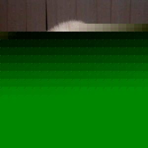 Profile Picture of Mark Daughtry (@i_taste_blood) on Myspace