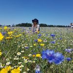 Profile Picture of Rhea Phillips (@rhea.phillips.83) on Instagram