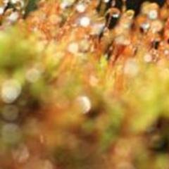 Profile Picture of Tamara Valério (@tamaravalerio0) on Twitter