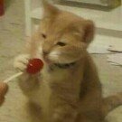 Profile Picture of Enilda Rodriguez (@enyonelove) on Instagram