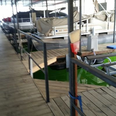 Profile Picture of Randy Bumgarner (@randybumgarner1) on Twitter