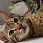 Profile Picture of Benjamin Kenny (@Benjamin-Kenny) on Facebook