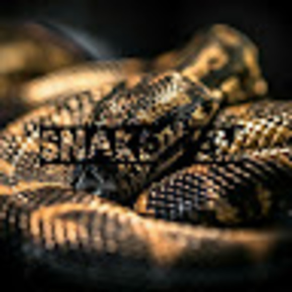 Profile Picture of Damian Wilson (@damwilson14) on Poshmark