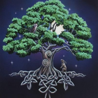 Profile Picture of Jane Case  #Trumpresign, #RESIST (@JaneCase6) on Twitter