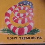 Robert M. Rovinsky - Instagram Profile Picture of Robert M. Rovinsky (@rrovinsky1) on Instagram