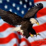 Profile Picture of Glen Eggleton (@glen.eggleton.7) on Facebook