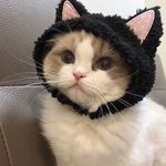 Profile Picture of Joe Chance (@joechance718) on Instagram