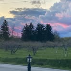 Profile Picture of Dawn Boldt (@Dawn-Boldt) on Facebook