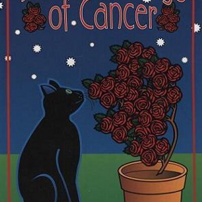 Profile Picture of Amelia Faye Lennon (@cancerblessings) on Twitter