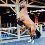 Profile Picture of mauro pereira 25 (@mauricio_pereira25) on Instagram