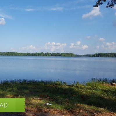 Profile Picture of Donna B (@donnabirder) on Twitter