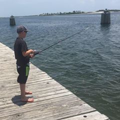 Profile Picture of Scott Nevius (@scottnevius) on Tiktok