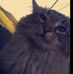 Profile Picture of Scottie Bennett (@scottie.bennett.311) on Facebook