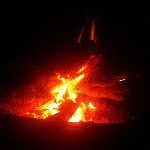 Maximilian Schmidt - Instagram Profile Picture of Maximilian Schmidt (@echt_max) on Instagram