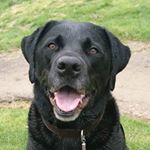 Profile Picture of Catherine Thompson (@catherine.thompson513) on Instagram