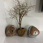 Profile Picture of Nancy Viscontti (@nancyviscontti) on Instagram