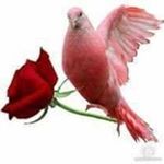 Profile Picture of mourad (@melkimed75) on Instagram