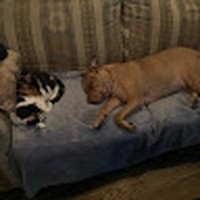 Profile Picture of Kevin Morehouse (@kevin-morehouse-9) on Quora