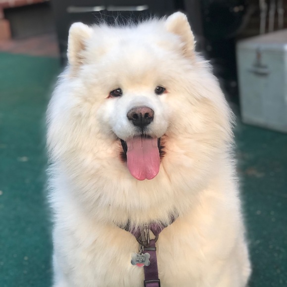 Profile Picture of Jb Moore (@jbxmoore) on Poshmark