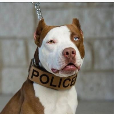 Profile Picture of Ivan Marrero (@ivanmarrero6) on Twitter