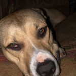 Profile Picture of Lillian Cotto (@lilly.rj13) on Instagram