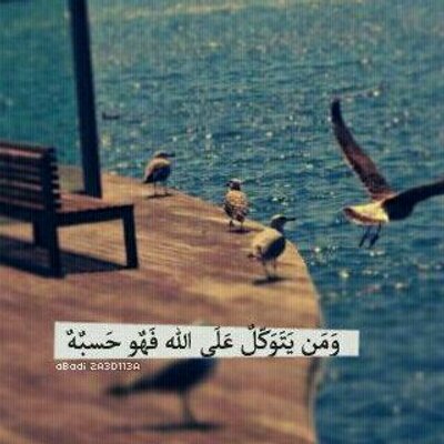 Profile Picture of Safi Shappi (@safi2019) on Twitter