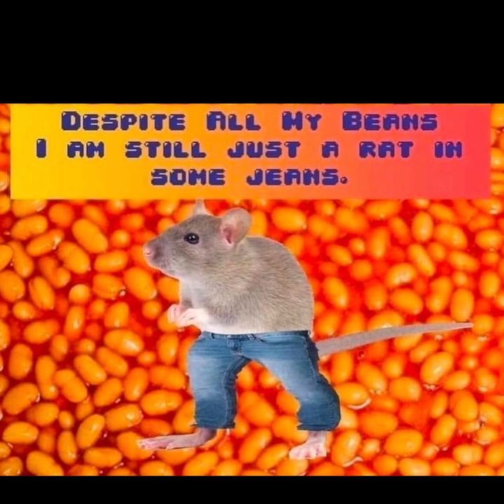 Profile Picture of Marilyn Wallenburn (@marbaloid) on Tiktok