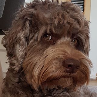 Profile Picture of Bente Sørlie (@Bente-S&) on Facebook