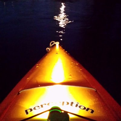 Profile Picture of Terri Cooper Swanson (@tcs222) on Twitter
