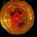 Profile Picture of Joel Hecht (@hecht3577) on Pinterest