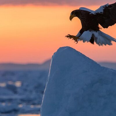 Profile Picture of Rahim Rahimi (@rhimrahimi) on Twitter