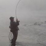 Profile Picture of Steve Swindle (@ontargetdoc) on Instagram