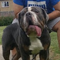 Profile Picture of Arjun Majithia (@arjun-majithia-5) on Quora