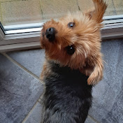 Profile Picture of Robert Hanna (@roberthanna5213) on Youtube