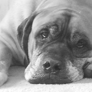 Profile Picture of Jeremy Fletcher (@Jeremy-Fletcher) on Facebook