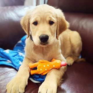 Profile Picture of Janie Schaafsma (@schaafsmajanie) on Facebook