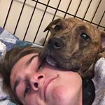 Profile Picture of Alex brunet (@bigalz29) on Instagram