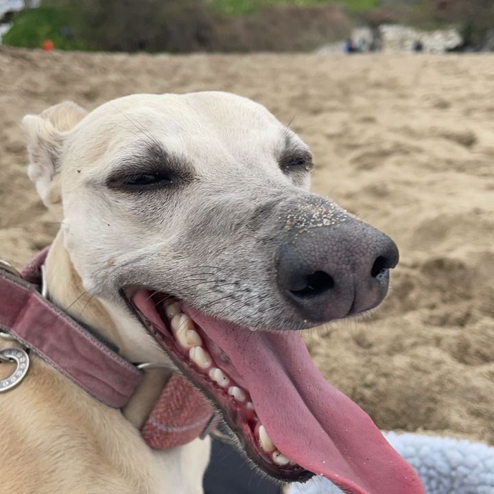 Morgan - Tiktok Profile Picture of Morgan (@morgan.golding1) on Tiktok