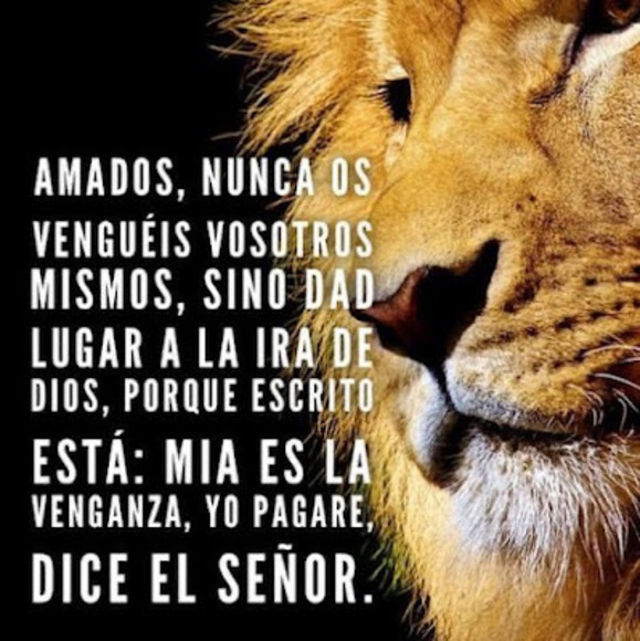 Profile Picture of Lucia Fuentes (@lverofc) on Poshmark