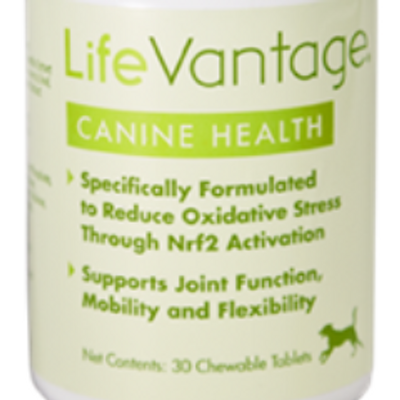 Profile Picture of Brian And Heather (@LifeVantage10) on Twitter