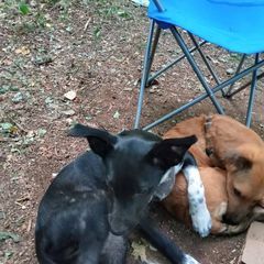 Profile Picture of George Clark (@george.clark16) on Tiktok