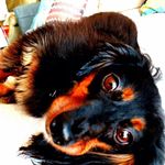 Profile Picture of Robin Potts (@robbbbs) on Instagram
