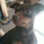 Alexa bryant - Instagram Profile Picture of Alexa bryant (@lexy_bryant12204) on Instagram