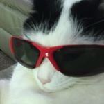 Profile Picture of kyle.provencher (@kyle.provencher) on Instagram