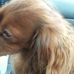 Profile Picture of Joseph Schulker (@joseph.schulker.37) on Facebook